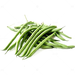 四季豆素材