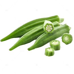 绿色秋葵