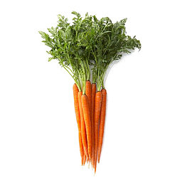 胡萝卜免扣元素