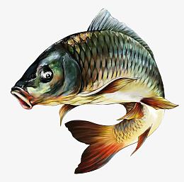 超全彩色简笔画蔬菜食物图案素材免费下载_觅元素