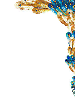 孔雀羽毛边框纹理美术图库网