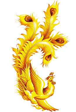 金黄色的孔雀