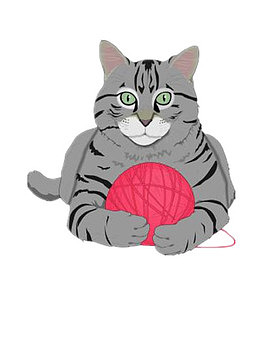 抱毛球的猫咪