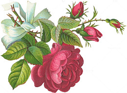 梦幻元素卡通花图片素材 花朵