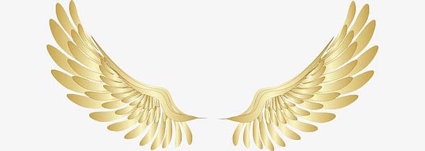 金色的渐变翅膀
