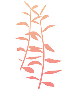 卡通红色渐变树枝竹子