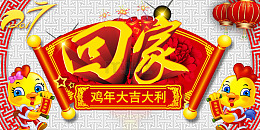 鸡年回家