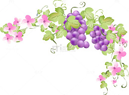 卡通手绘葡萄花瓣
