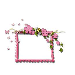 装饰花朵边框