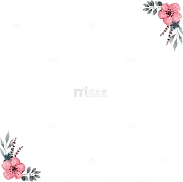 手绘财税蔷薇花装饰边框