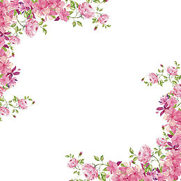 鲜花边框