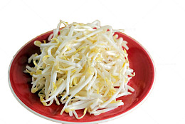 一盘豆芽菜