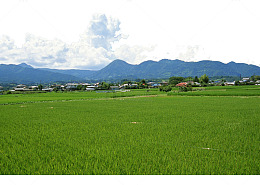 内蒙草原