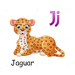 识英语卡片之字母J