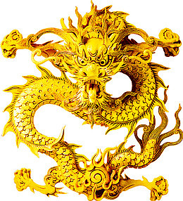 金龙素材