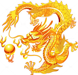 金龙