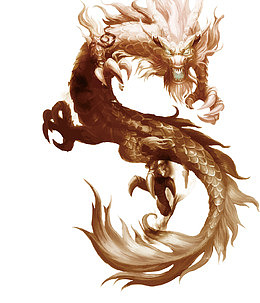金龙矢量