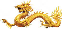 金色的龙