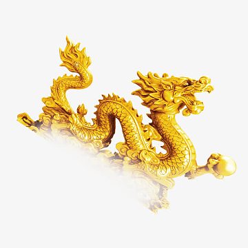 金龙