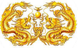 双龙