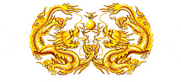 金龙