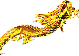 龙