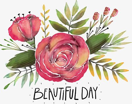 png手绘复古粉色山茶花(2531x2724)png蔷薇(339x281)png浪漫粉色手绘