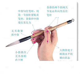 手握毛笔图