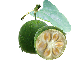 罗汉果免抠下载图