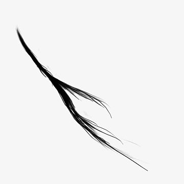 一缕黑色头发