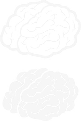 手绘人脑