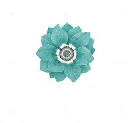 手绘花朵