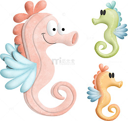 萌萌的海马图片