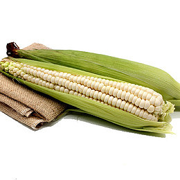 美味食材玉米