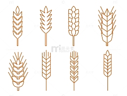 矢量简约棕黄色麦穗简笔线框
