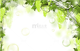 清新背景装饰