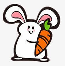 爱吃胡萝卜的小白兔