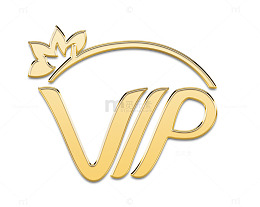 VIP 高端素材图