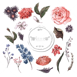 小清新水彩植物插画