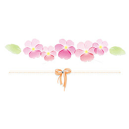花瓣条纹