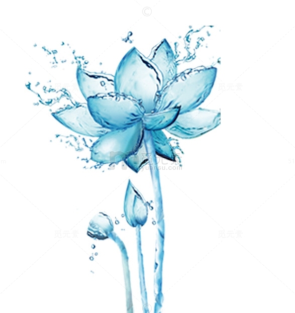 蓝色水莲花