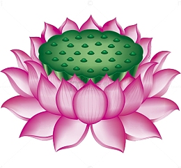 莲花宝座