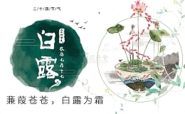 中国风水墨风格白露海报