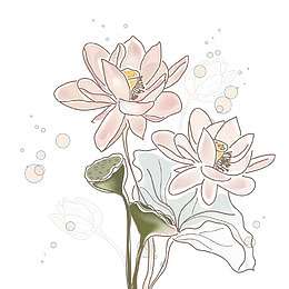 手绘莲花