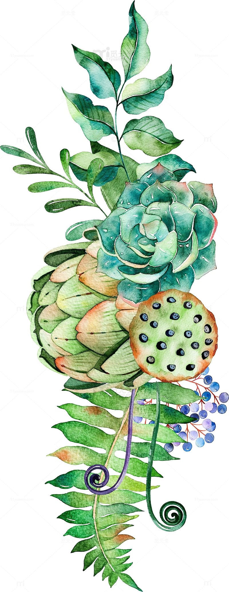 植物装饰图案