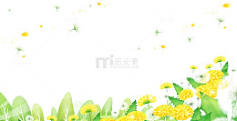手绘黄色野花背景素材