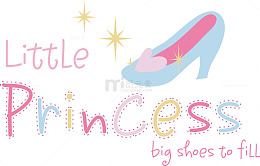 美丽公主水晶鞋