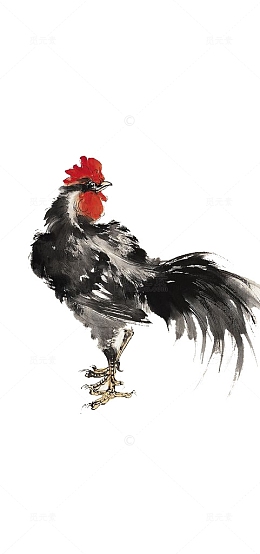 手绘大公鸡