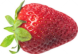 草莓简图