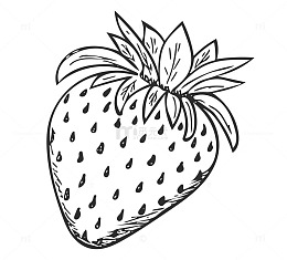 卡通草莓手绘